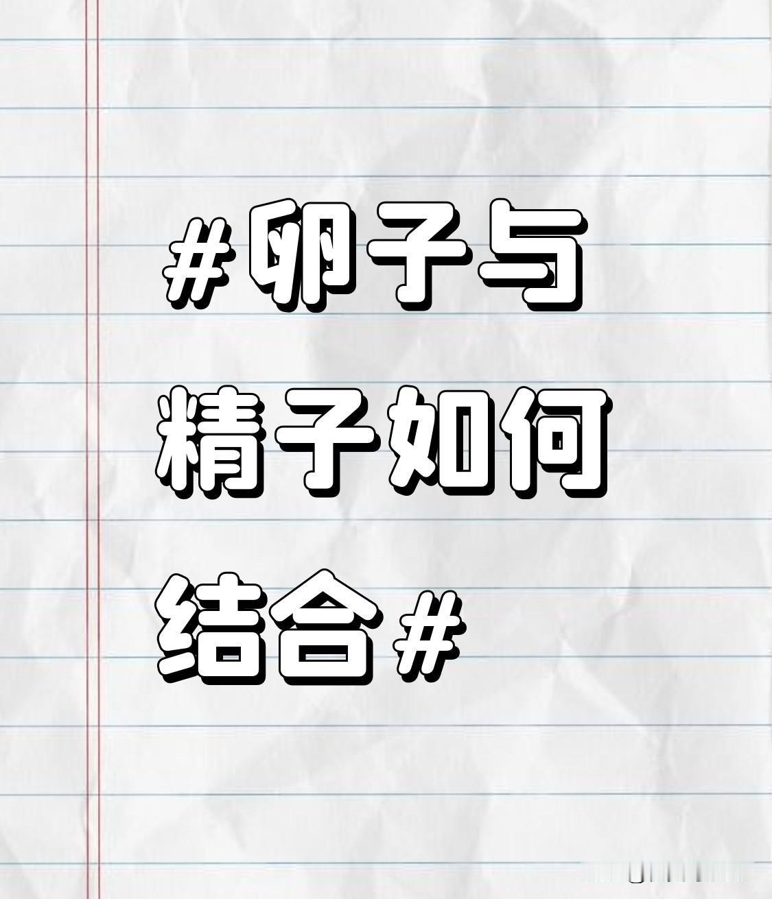 这张图解释了受精过程。从万千精子冲向透明带的奋力游动，到突破屏障后卵子瞬间启动的