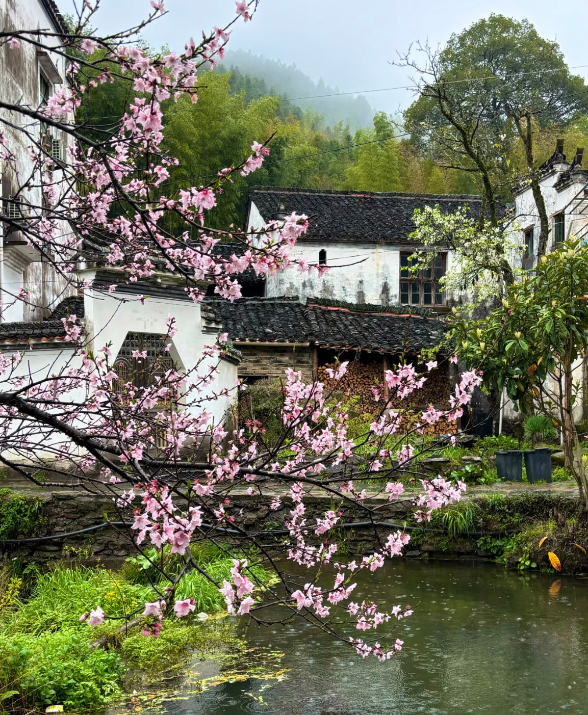 婺源庆源古村，被私藏的徽州春日秘境当大家挤在婺源热门景区看人头时，我却在一场春雨