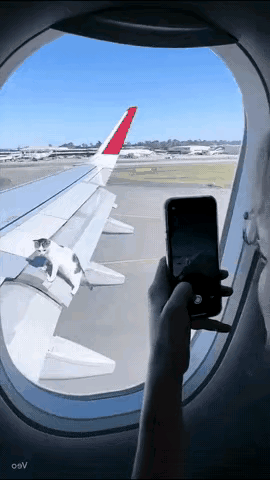 这不是AI，这是一名坐飞机的乘客拍下的真实视频。飞机正在缓缓滑行，准备飞入天际。