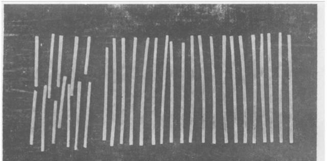 1968年，陕西一老农丢了3块5角，儿子说在老鼠洞。老农气急刨了老鼠洞，却发现一