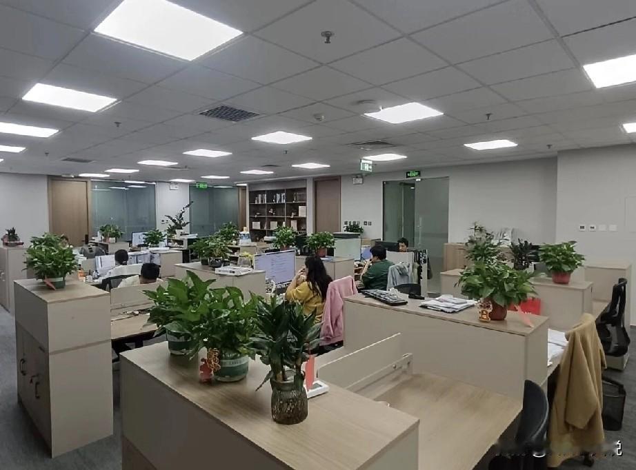 上周通知各部门提报2026年部门拟加薪人员的名单，今天收到了研发报的名单，一看依