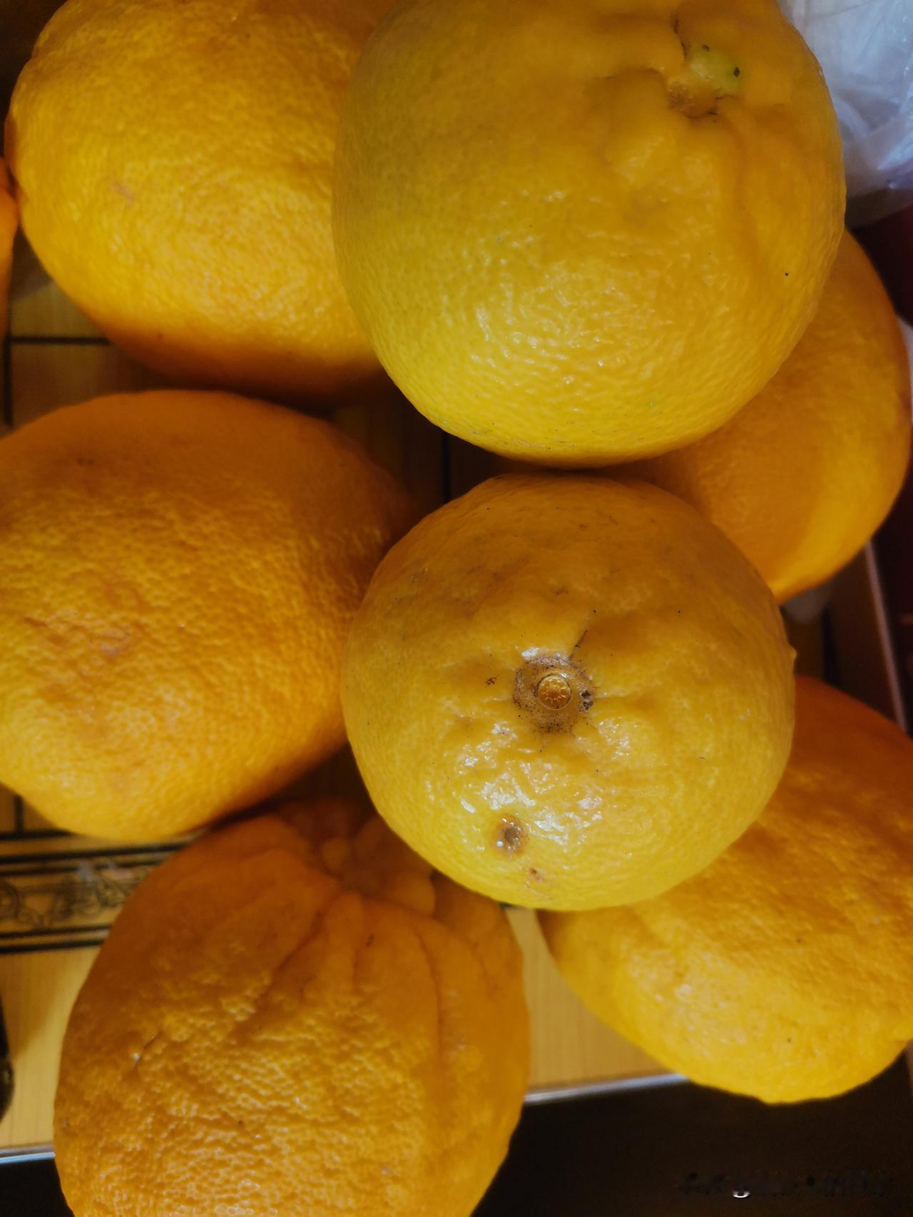 前几天，娘家村同一天去世了两个人，一个男人，一个女人，都是我的老邻居。男人比