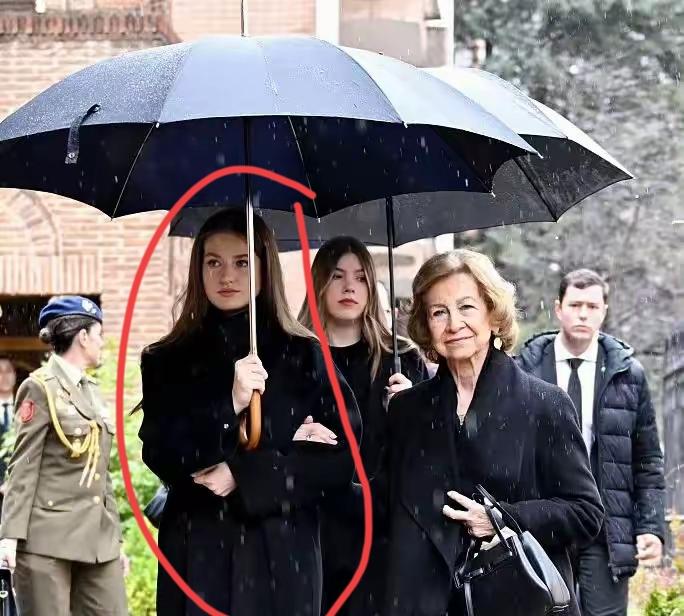 瘦下来的诺尔公主，颜值又回到了巅峰！不愧是最美的欧洲公主，诺尔一瘦，颜值又回来