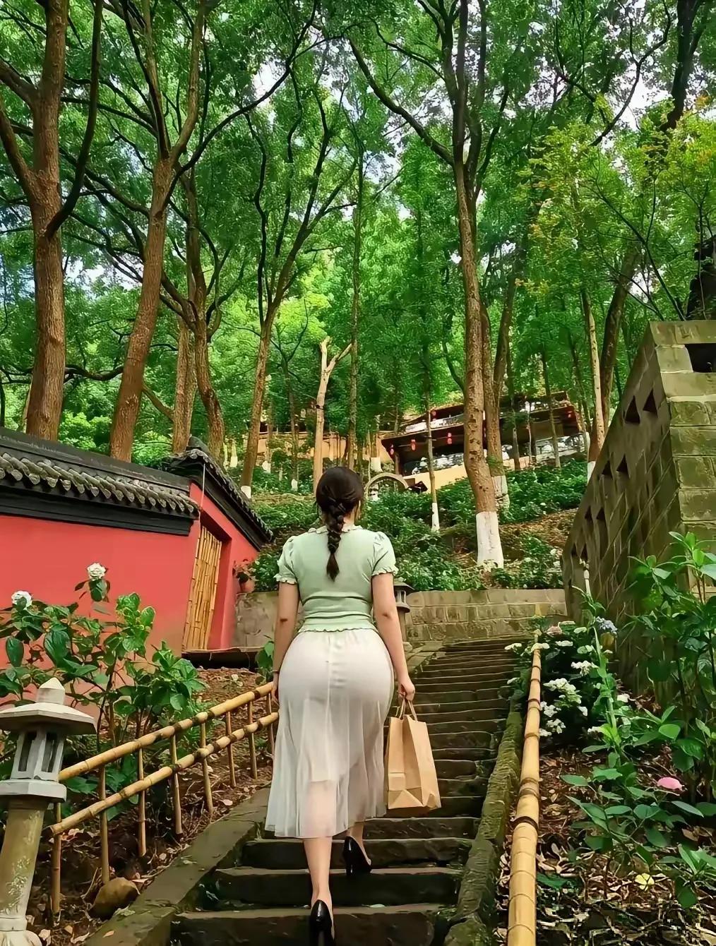寺庙景色庭院深深，几株苍劲的松柏与娇艳的春花相互映衬，刚柔并济，红墙灰瓦在蓝天
