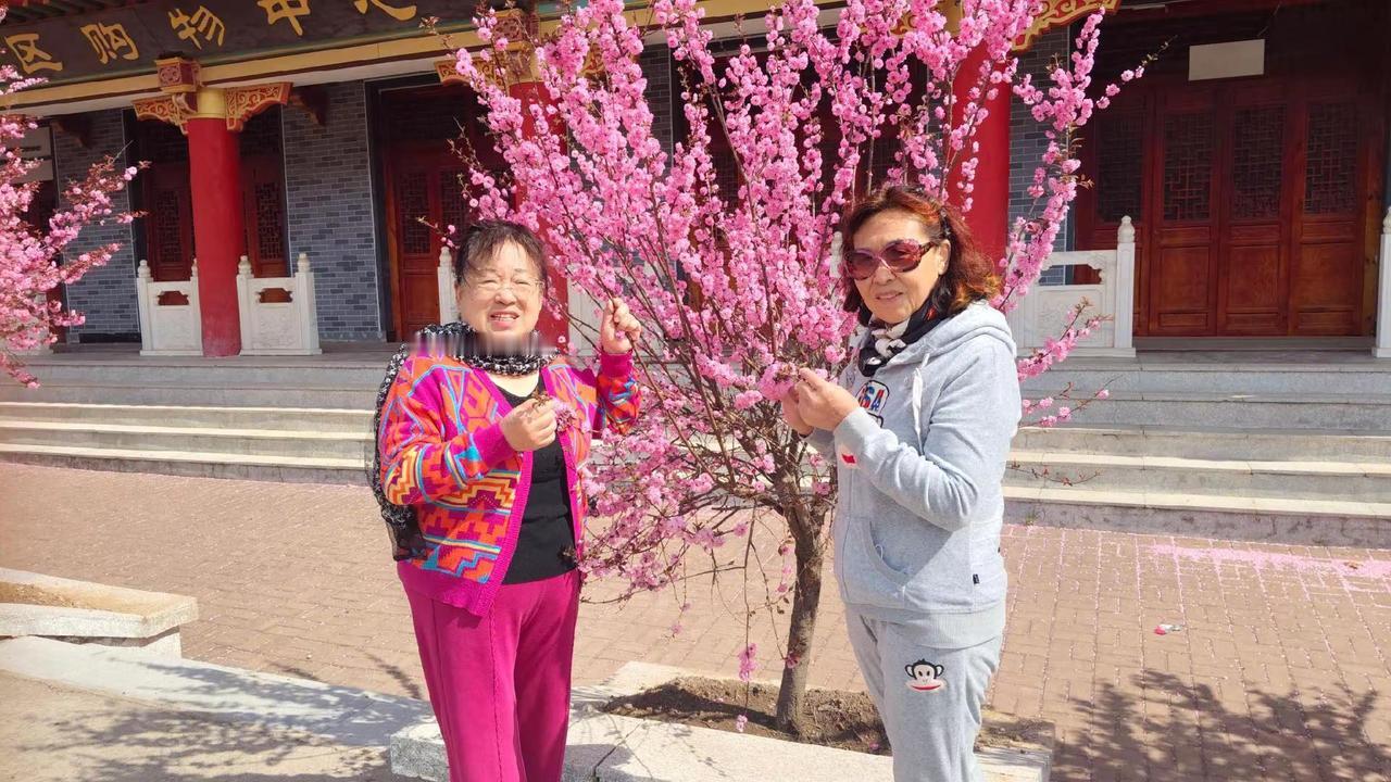 春日暖阳老同学游玩岩丼寺拥抱大自然的美好时光。