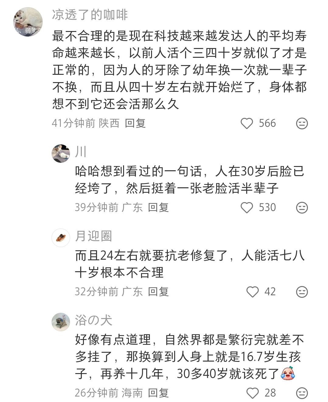没有哪个动物需要每天打猎八小时以上的