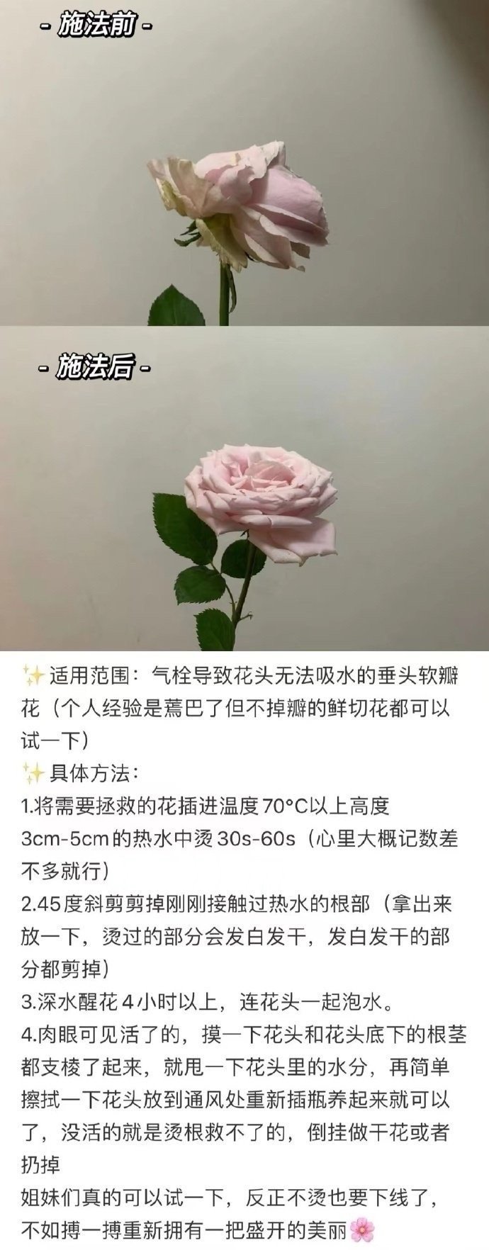 中国网友的智慧依旧狠狠吊打我！