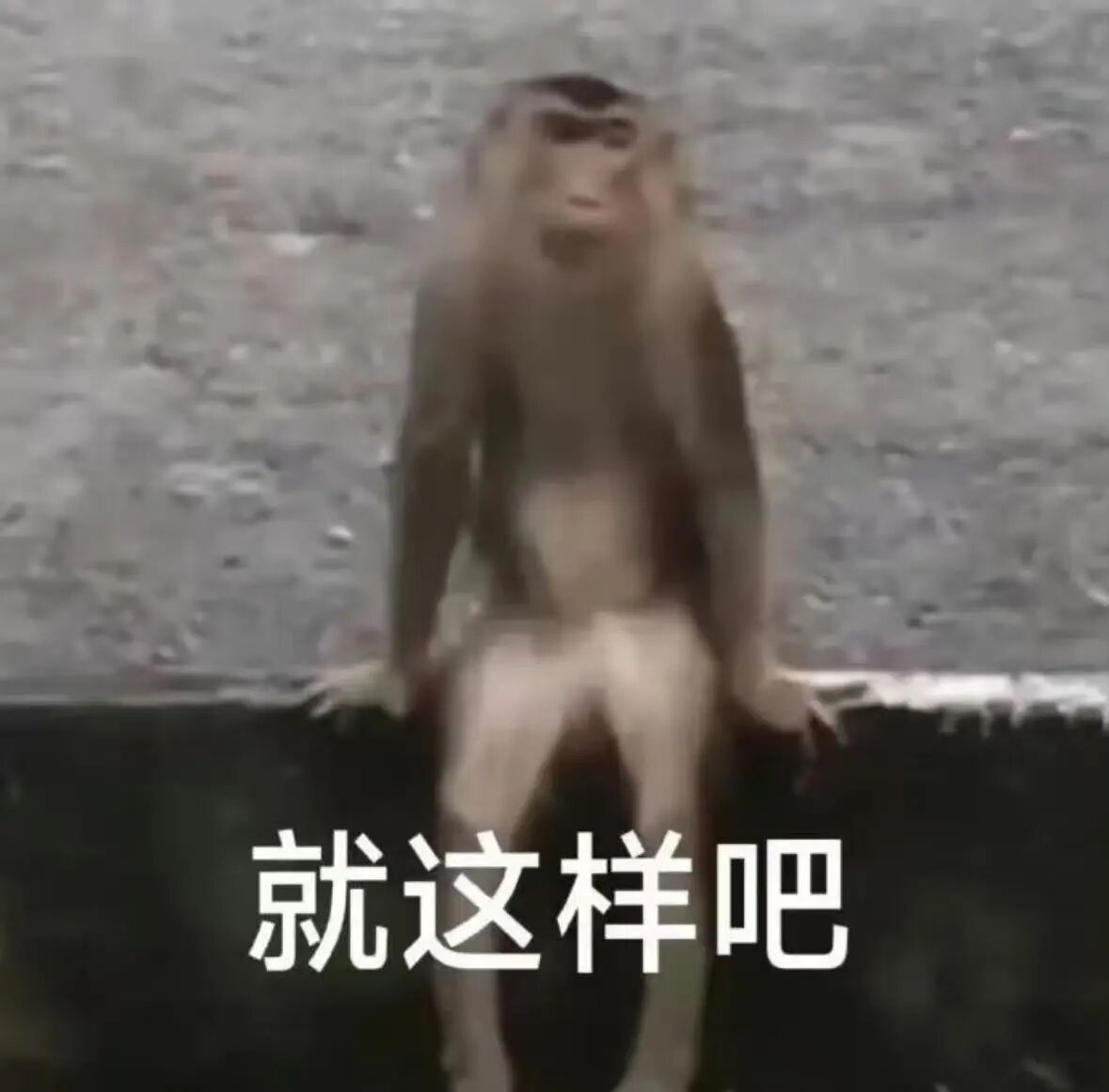 每天一条冷知识由于哺乳动物的祖先曾经昼伏夜出，不太需要精细区分颜色，所以狗、猫