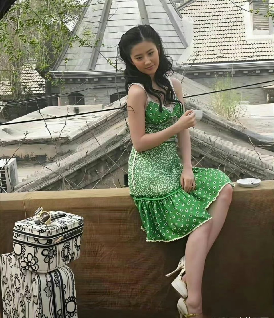 2008年的刘亦菲，纯天然没有滤镜没有修图