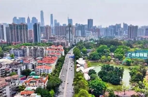 【40年沉淀的广州旧城，为何“拆不动”反成民生护城河？】广州旧城改造的困境，