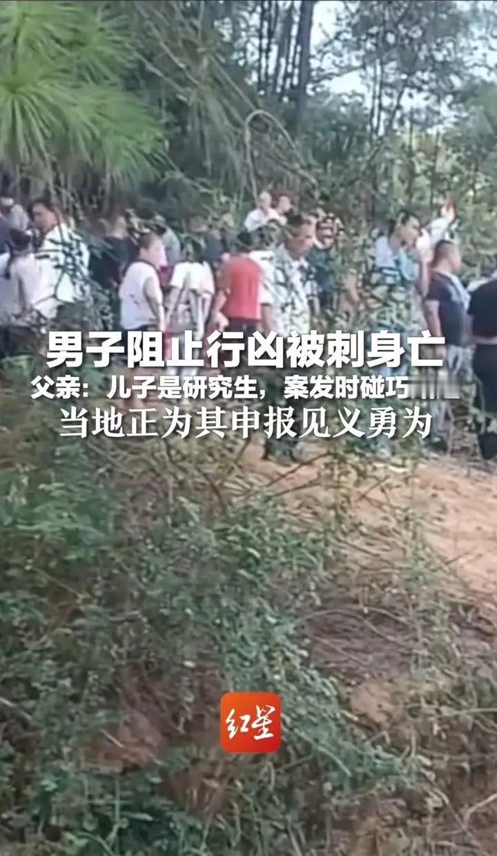 男子阻止行凶被刺身亡父亲：儿子是研究生，案发时碰巧路过当地正为其申报见义勇为