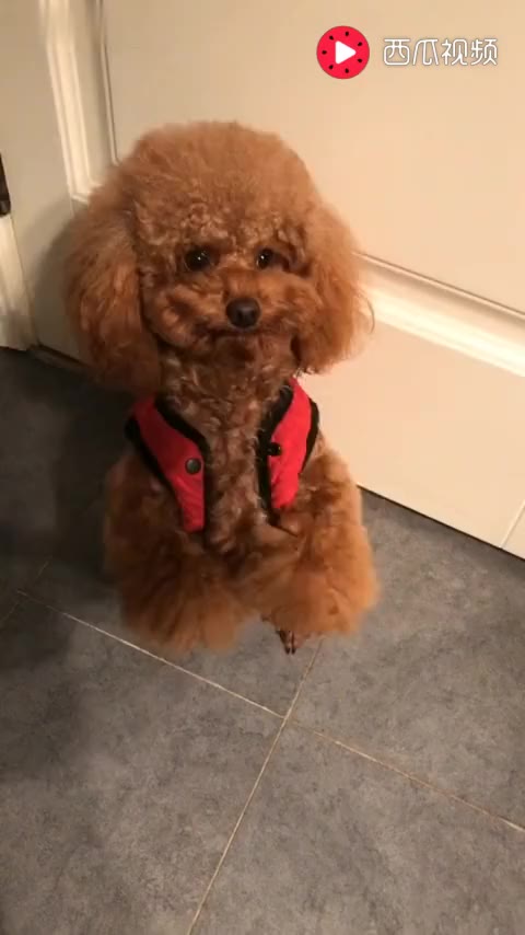 3541545767529925947.jpg?id=0