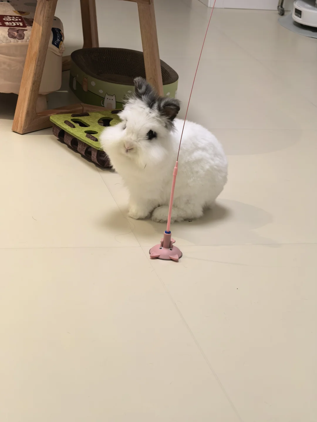 我不服，她怎么这么多玩具？！