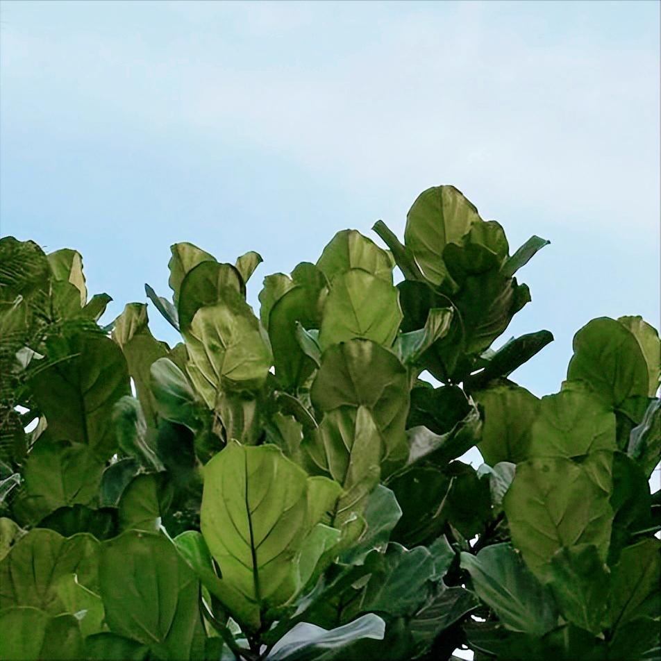 同一天2条消息  是关于云南锡业集团原官员的 11月26日17:30，2条