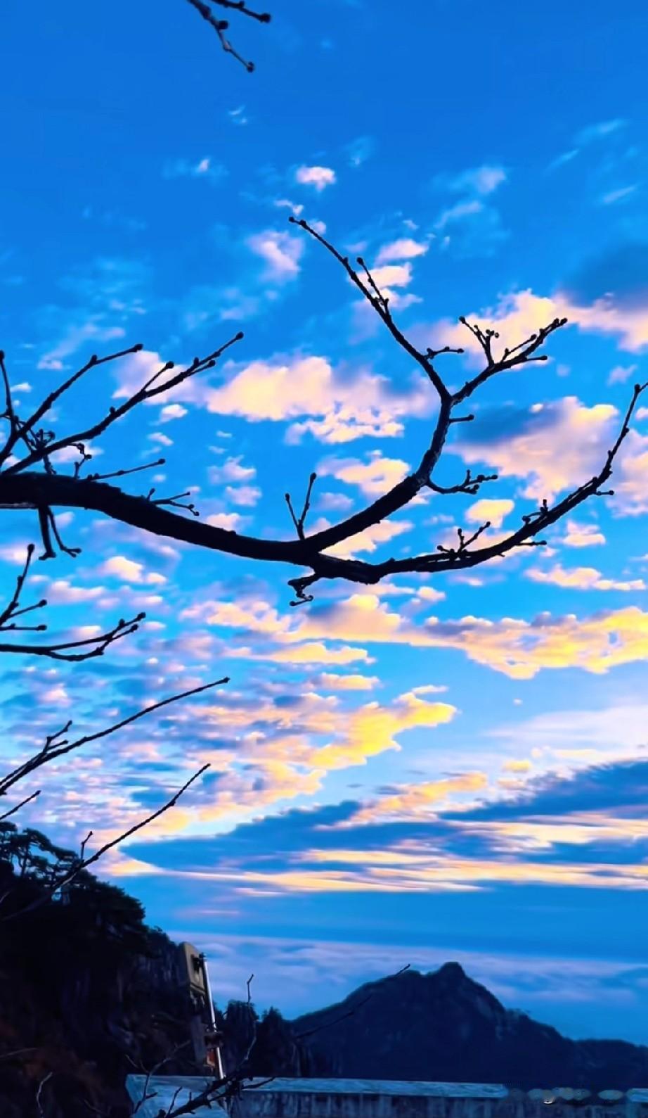 胃癌后想找的传统老中医在哪里？胃癌后，一直想找个老中医调理，目前有点眉目，还是