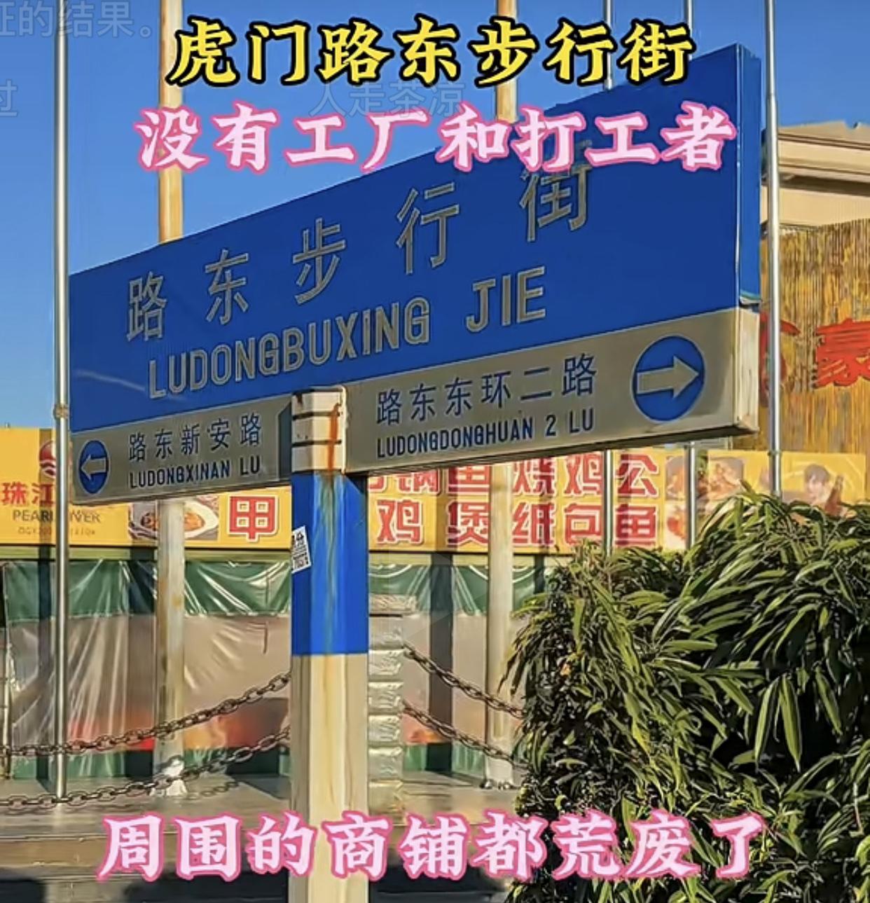 前几天开车去虎门路东步行街溜了一天，最大的收获就是高楼大厦，还杂草丛生，曾经的繁