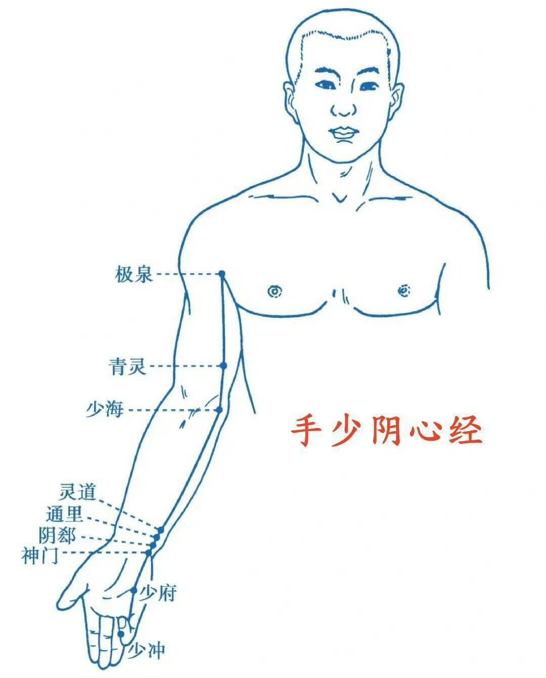 “十四经络”图一次性梳理明白。