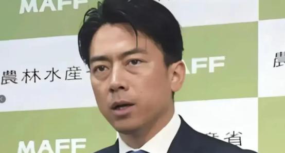 突然摊牌！日本刚刚传来大消息 2025年11月18日，日本政界人士在记者会上