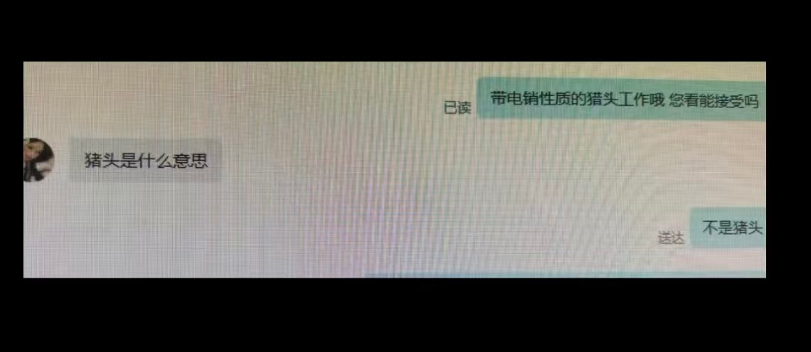 猪头是什么意思​​​