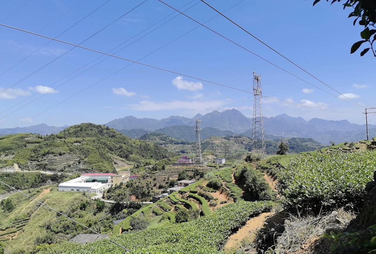 福建人称八闽大地，其实这地方是标准的穷山恶水，群山环抱，鲜有土地可以耕种，古来就
