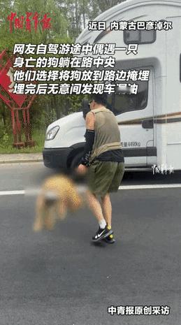[点赞]“也许这就是因果吧！”8月6日，内蒙古，一对夫妻在公路上，看见一只大狗