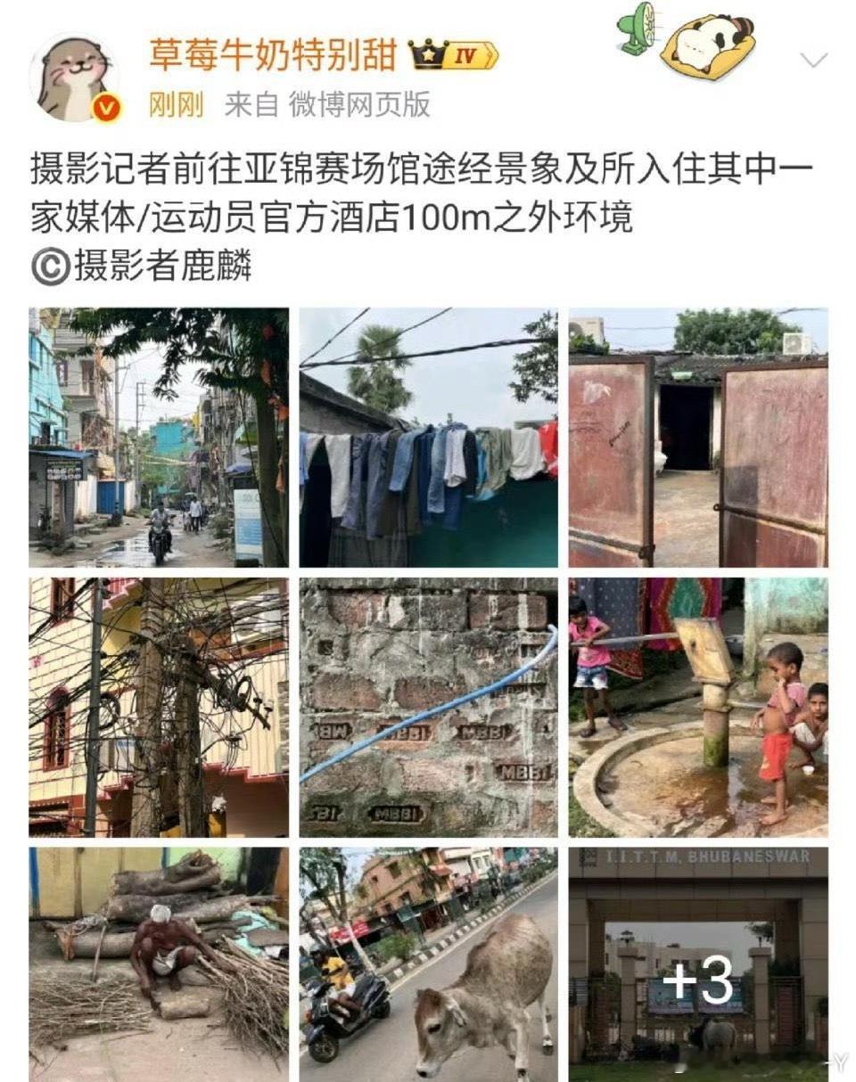 运动员又不会像摄影师一样到处乱跑周驴奶你就别心疼了