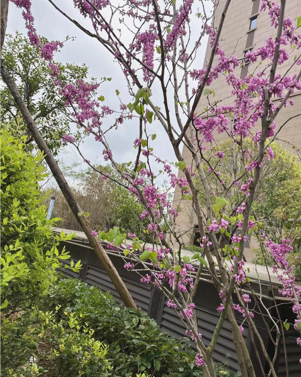 真正从心底里爱过的两个人，一旦分开，最明显的表现就俩字：断联。很多人不愿听这两个