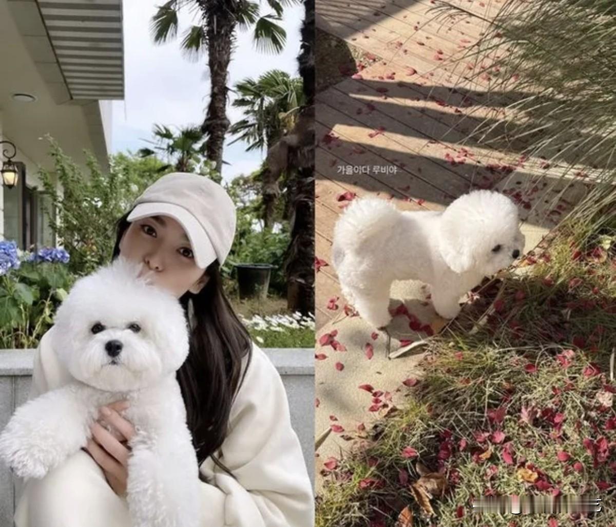 9日，演员宋慧乔在自己的Instagram上传了照片，并写道