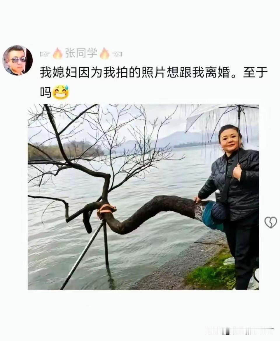 这张照片拍摄的水平很高，有两层楼那么高，一般人拍不出来这样的效果，如果自己的媳妇