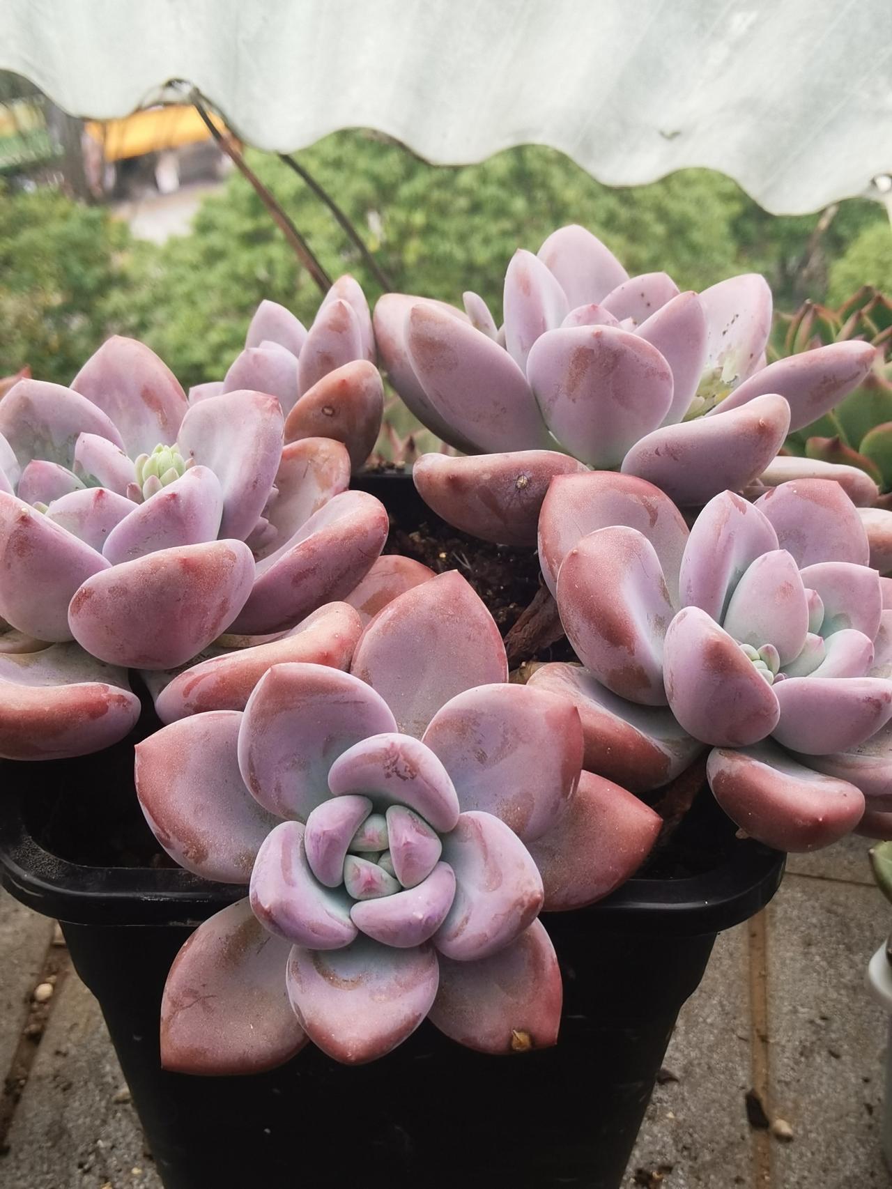 为什么牛市大多数人不赚钱，就是没有走出来时不知道是牛市，那些亏损的人，当熊市做，