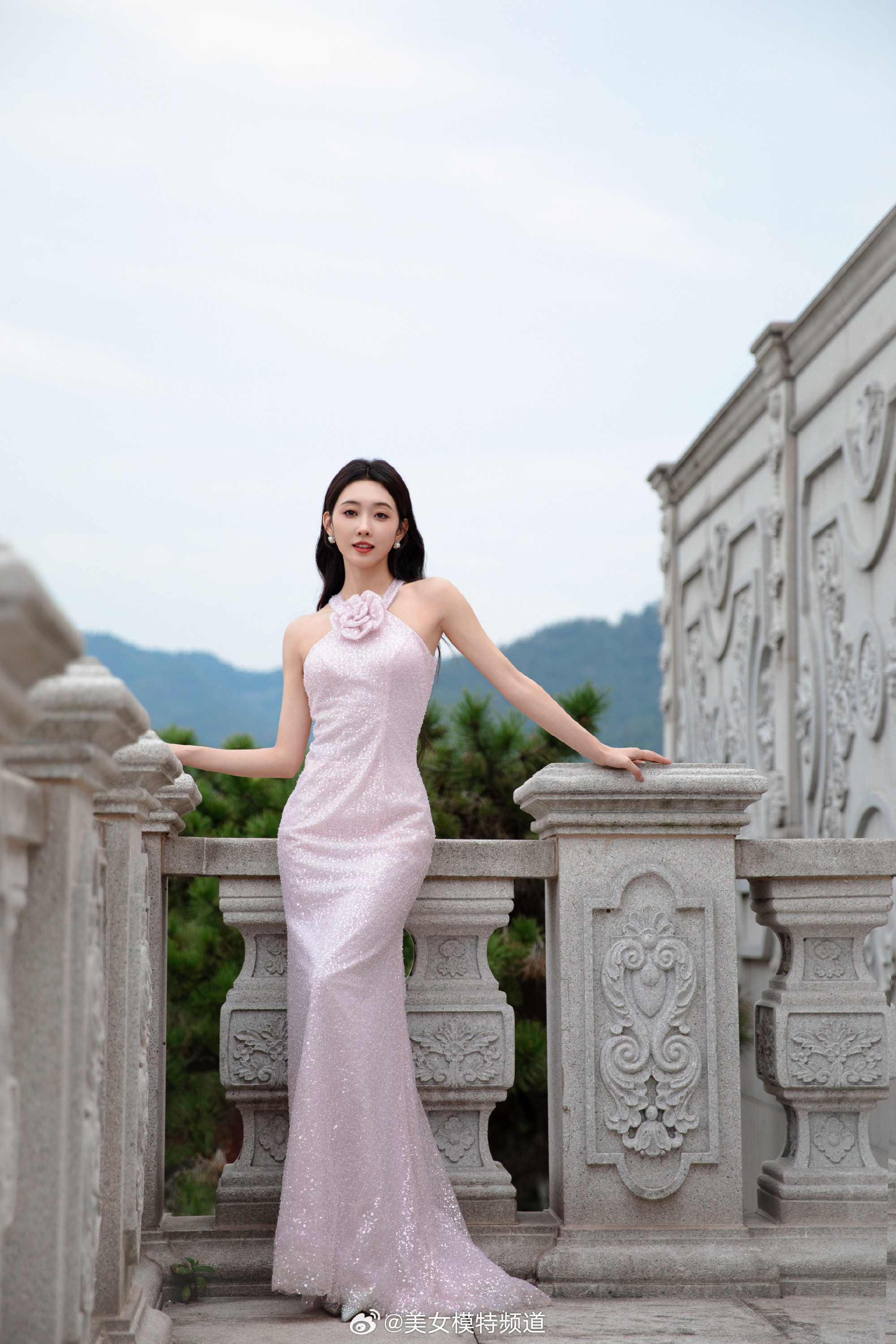 宣璐正值花期的姐姐花颜盛放