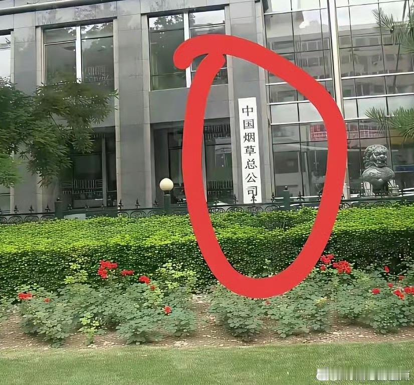 什么学历才能去这家单位上班？​​​