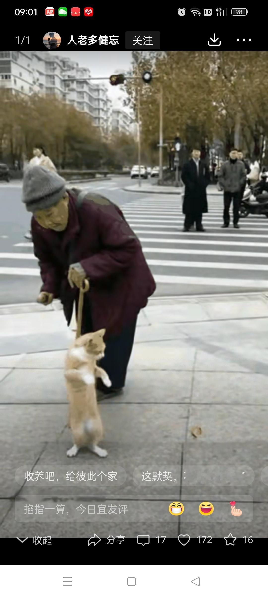 老太太拄着拐杖走在路边，一只流浪猫跑过来，立起两条后腿学着老人的样子走路，这学的