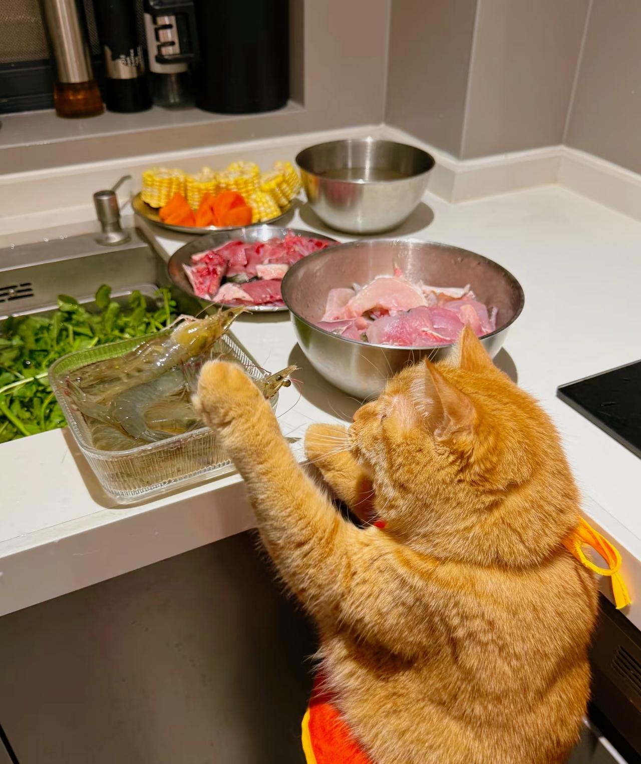 ：）曾仕强老先生说：“今年的大年初一比除夕还重要，记住这3句话，来年百事都亨通