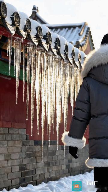 大寒至，岁律将终，神州大地却被一节气分出南北两重天地，北京的寒是凛冽风骨，广州的