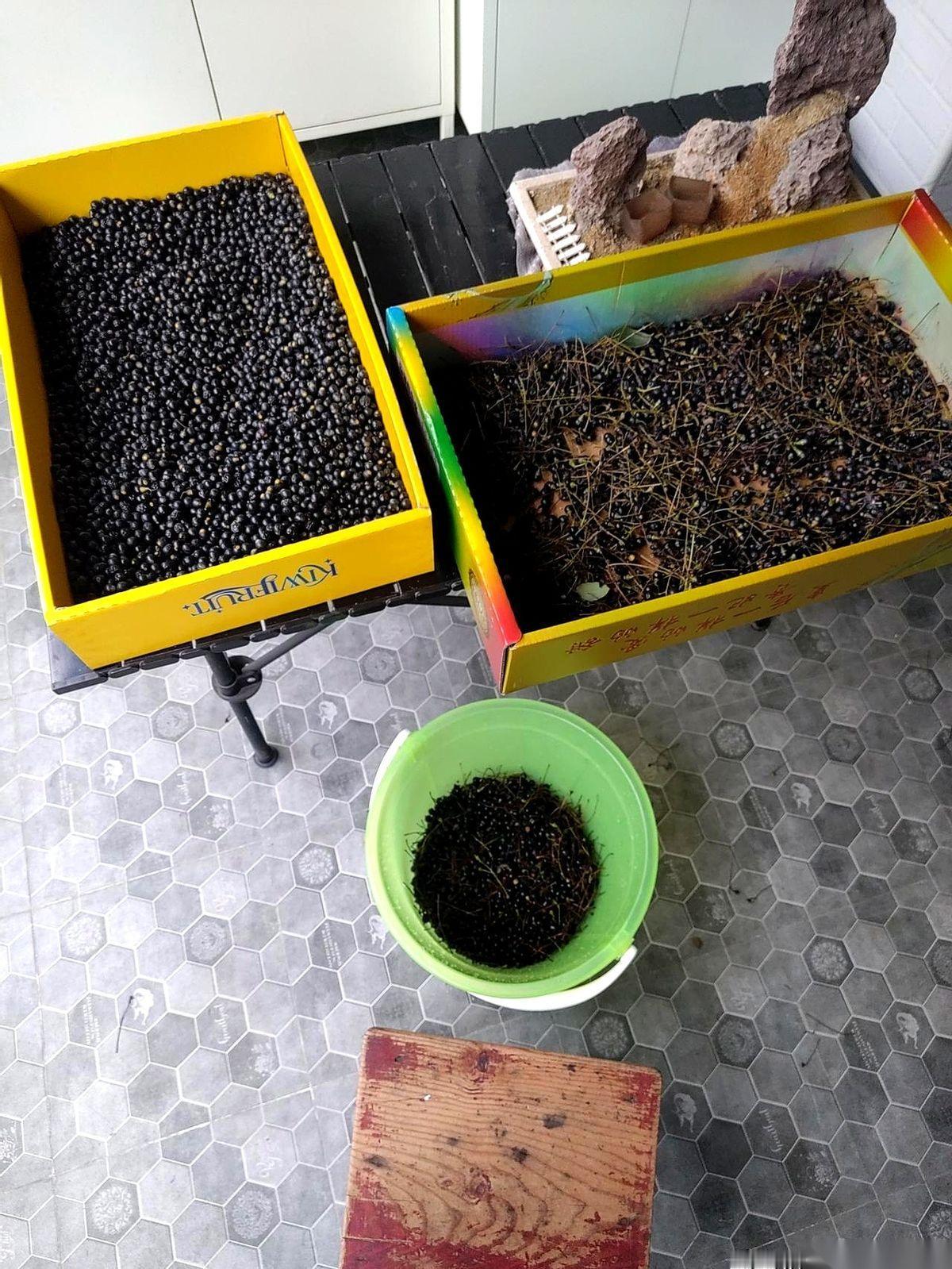 我指着小区那个蓝色铁皮车棚的顶，对他说：“你看上头那层黑压压的，我想给它扫下来。