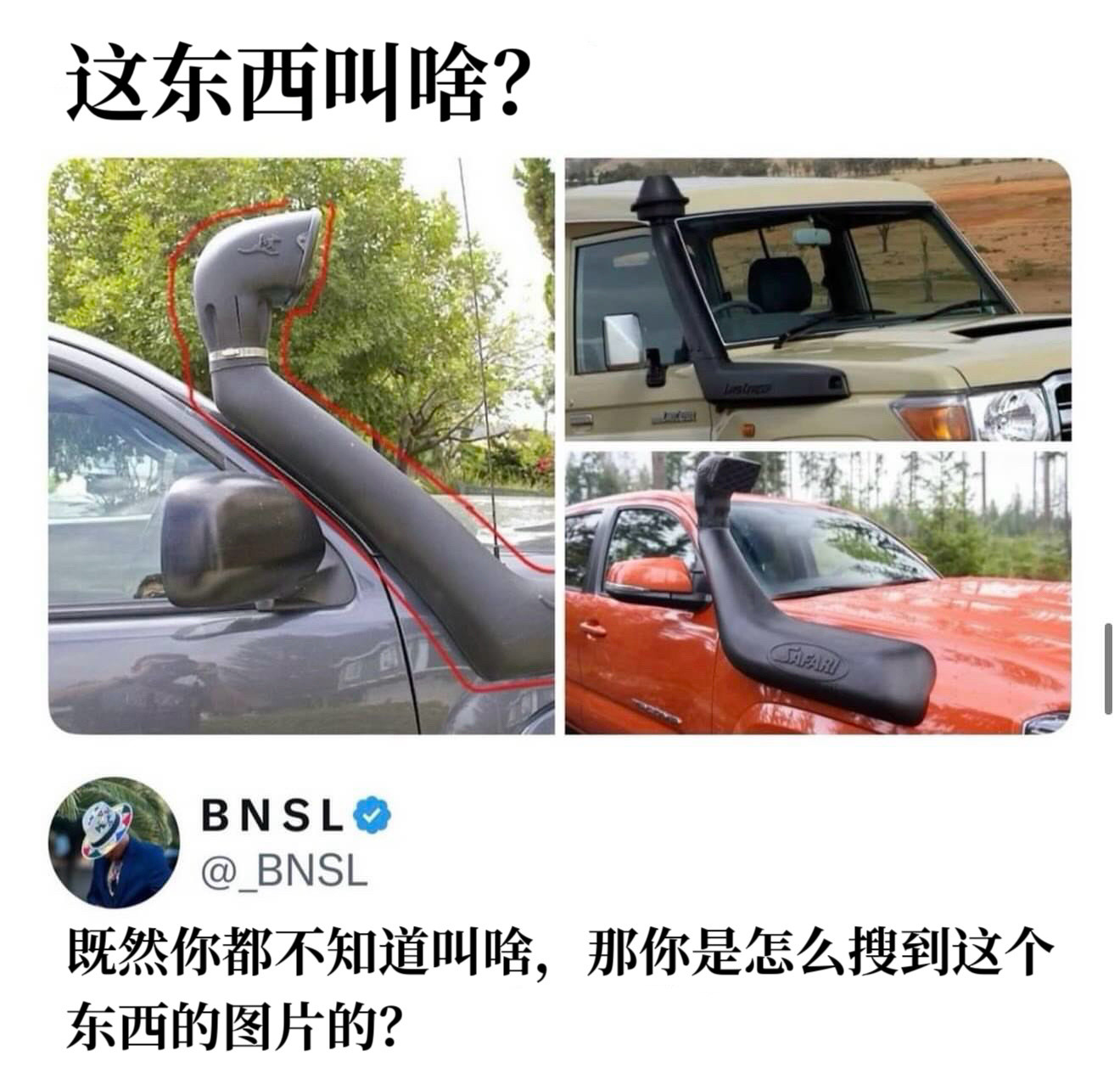 “越野车的窗边上竖起来的大象鼻子叫什么？”meme