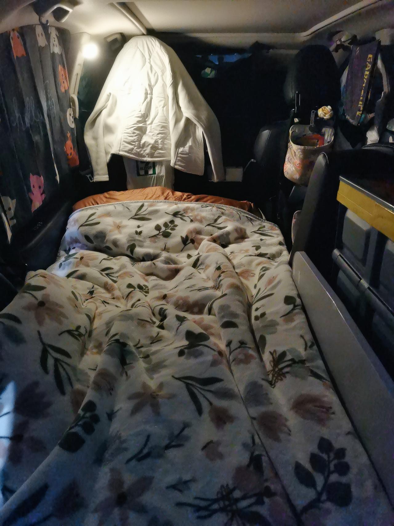 返程回家，头天晚上把车停在了南京汤泉服务区，夜里零下好几度，早上起来车身里外全结