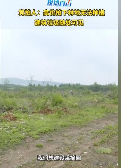 山东，男子拍下一块地，137亩，租金一亩一年980元，他要种果树建设采摘园，可他