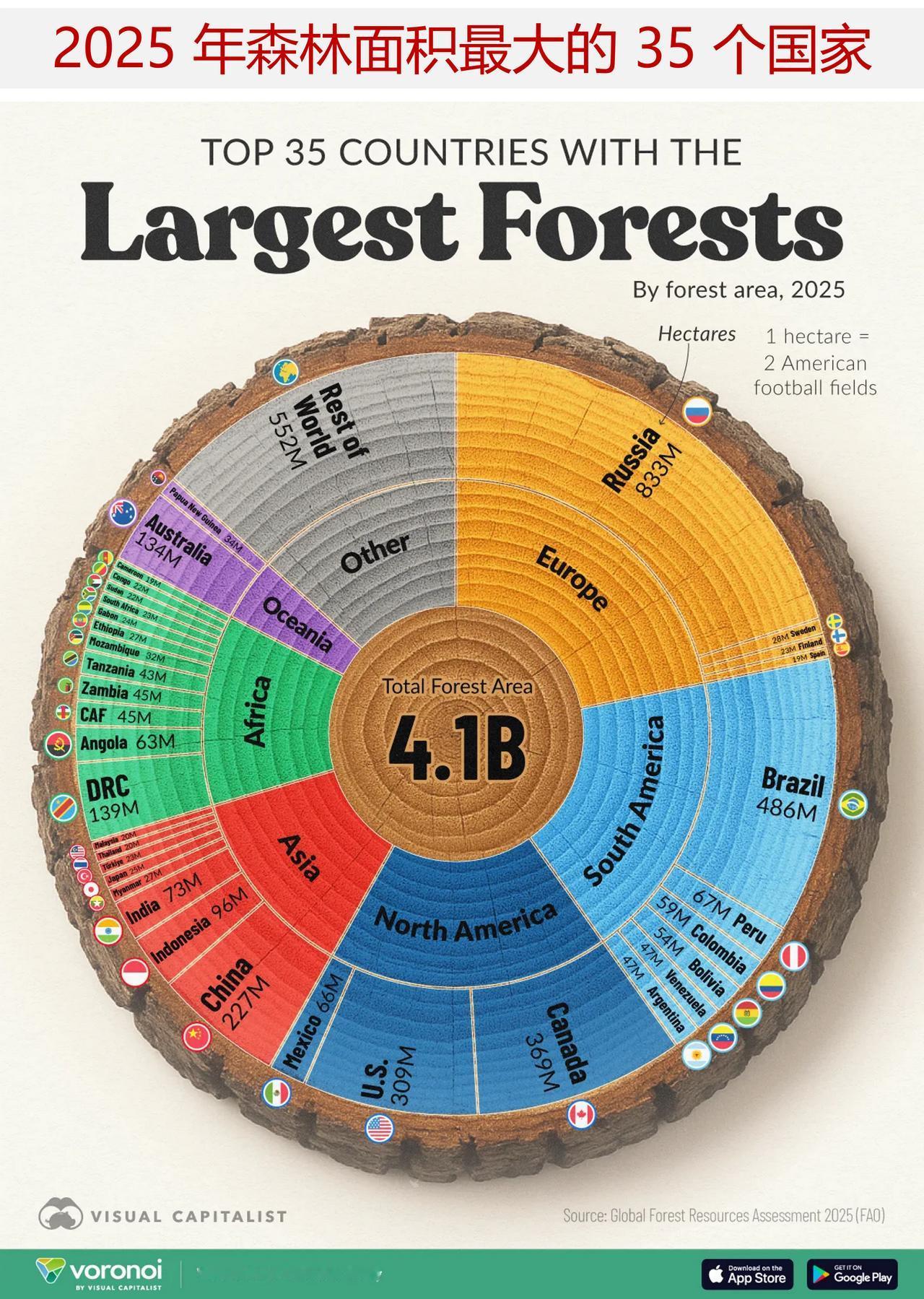 中国的森林面积在世界排在第几位？来看2025年森林面积最大的35个国家