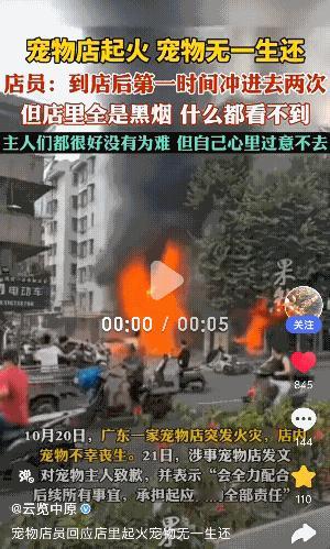 “太可怜了！”广东普宁，一经营6年的宠物店突然发生火灾，店里的宠物全没了，店员两
