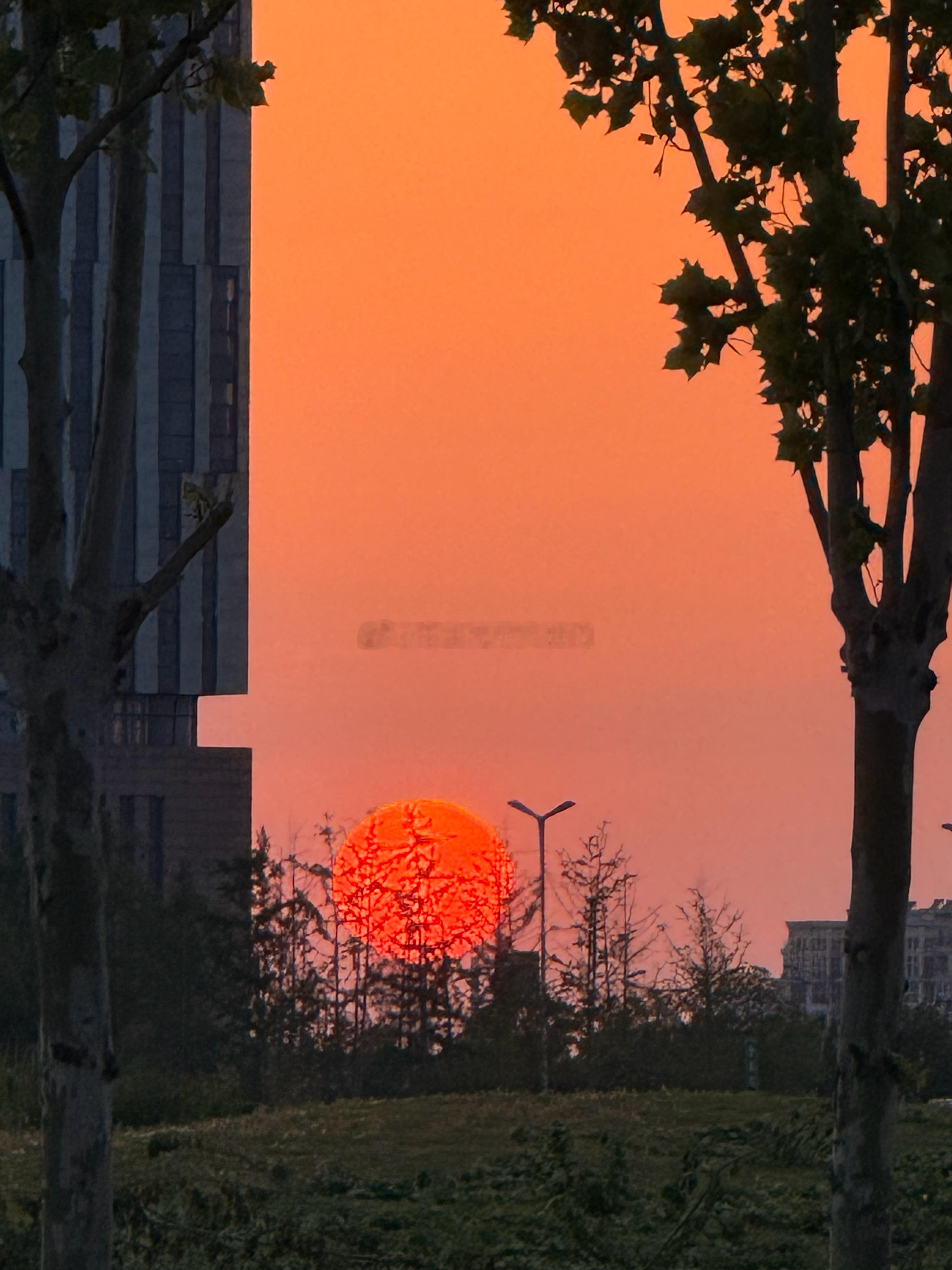 似秘密基地​​​