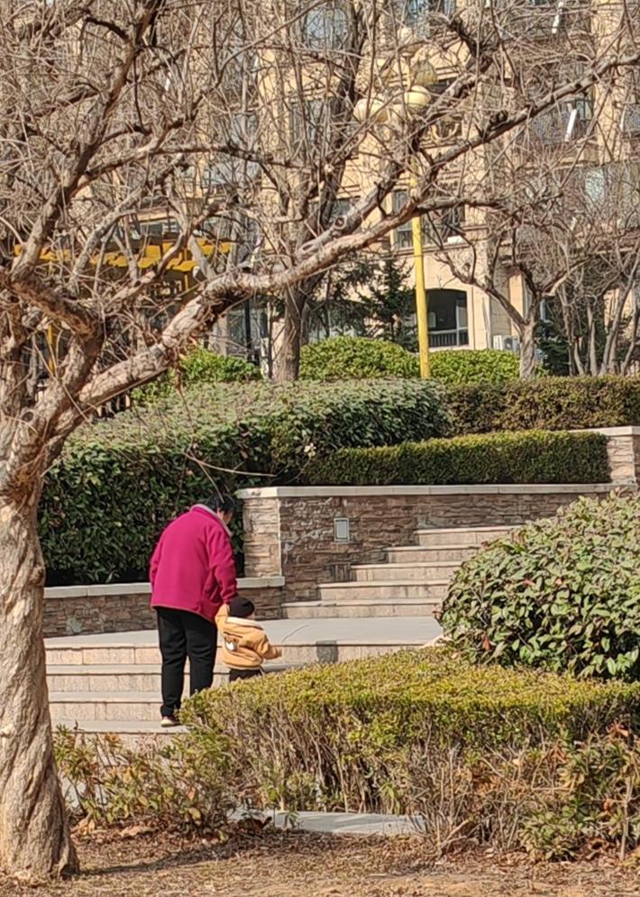 一老一小，春天里，一个老太太和一个幼儿，他们是奶奶与孙女？还是外祖