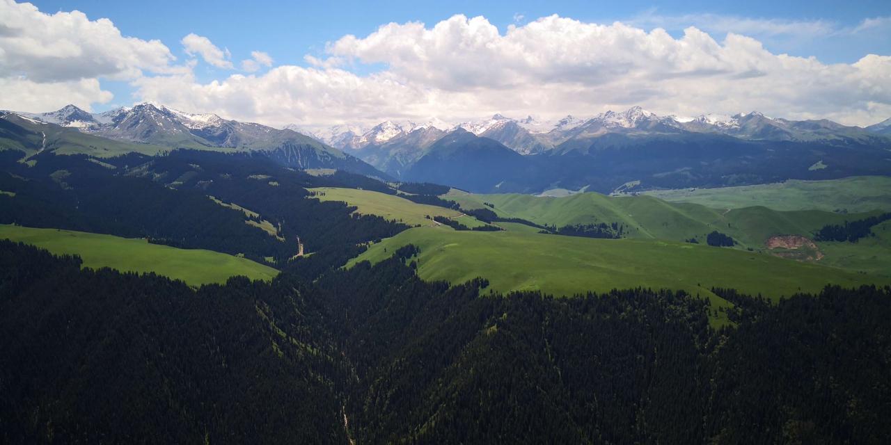 我的一个朋友家的孩子，中考的时候考的还可以，能够上13中的最好的班，但是进去的时