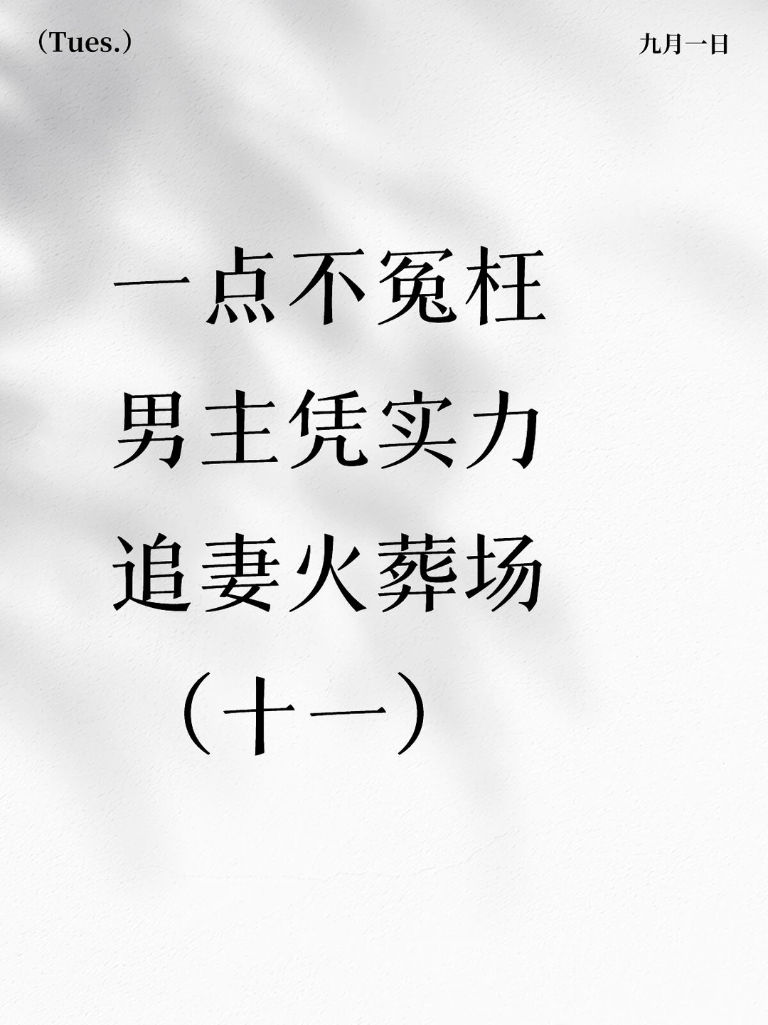 女主洒脱转身男主追妻火葬场的小说