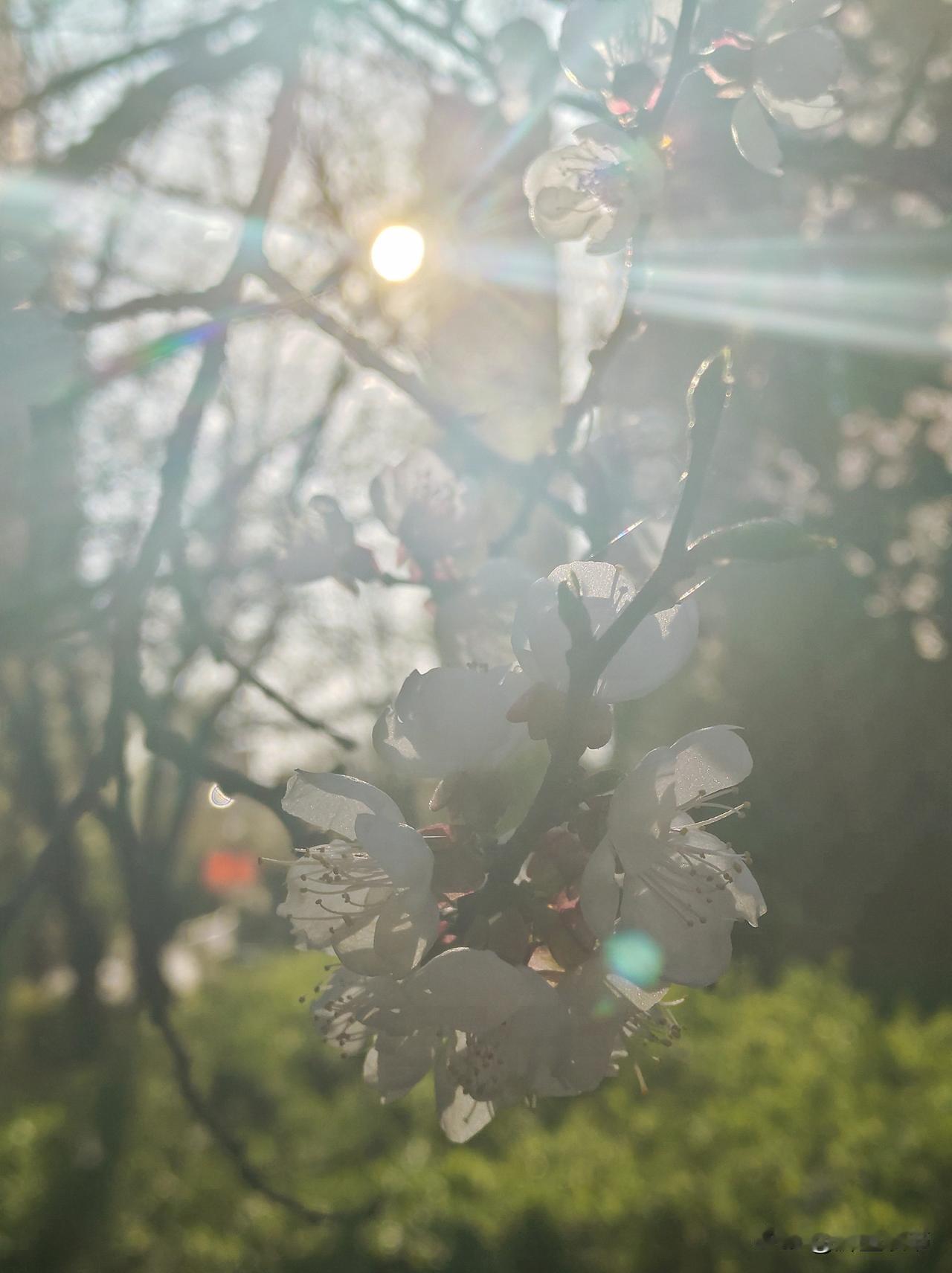 细长眼睛的人，忍耐力超强，晚年福气满满还易得良缘千万别小看长着细长眼睛的人