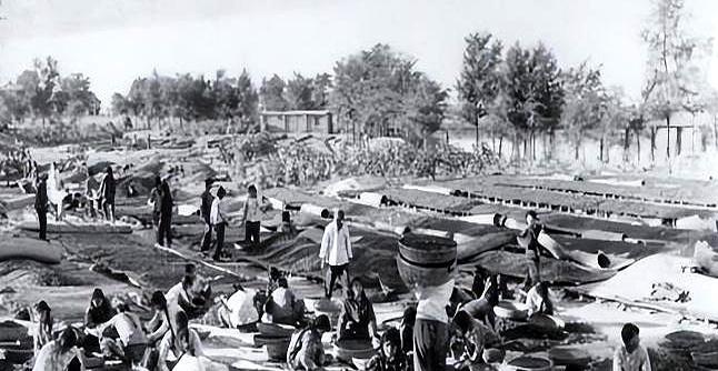 1988年，农民朱海清在地里干活，村长气喘着跑来：“别干了，快回去，你家来了个大