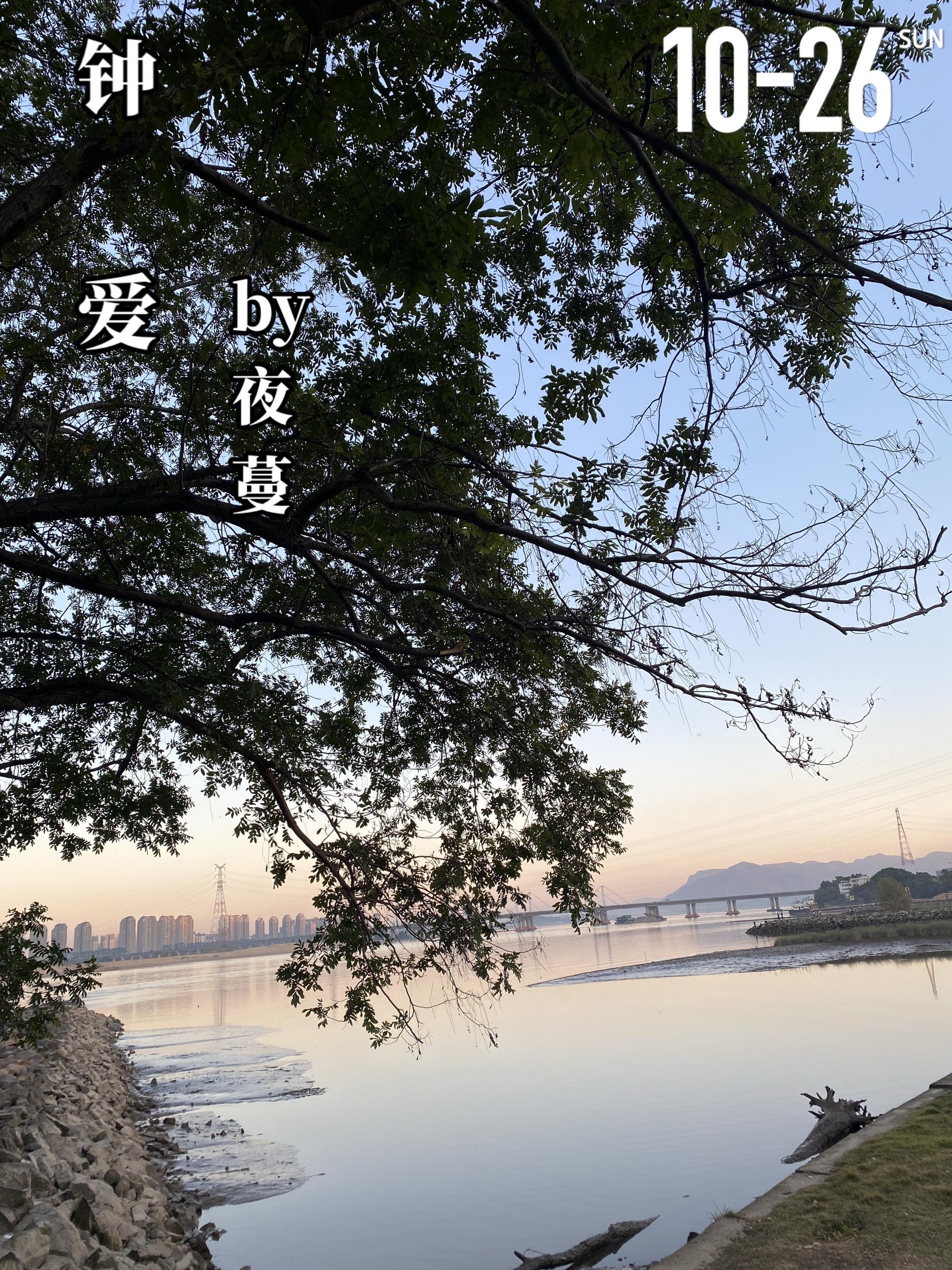 《钟爱》by夜蔓 高中时期,林艾(女主)邂逅了许晔轩(男二),两人开启...