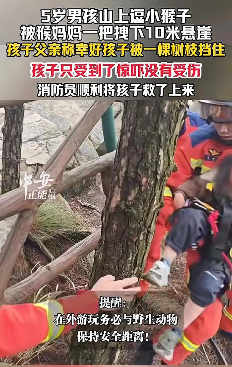 江西九江，男子带5岁孩子去看猴子，孩子好奇逗小猴。没想到，猴妈妈冲上前，一把将孩