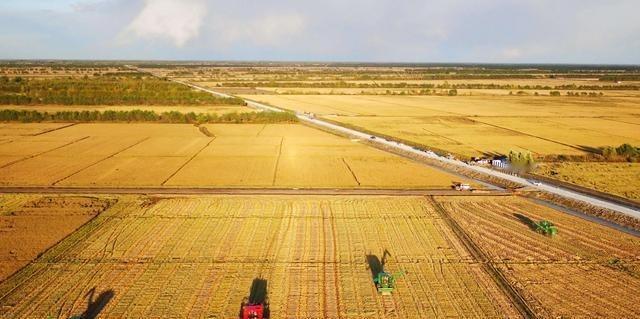 如果全球都停止出口粮食，中国能否自给自足？就这么说吧，中国停止粮食供应，全球至少